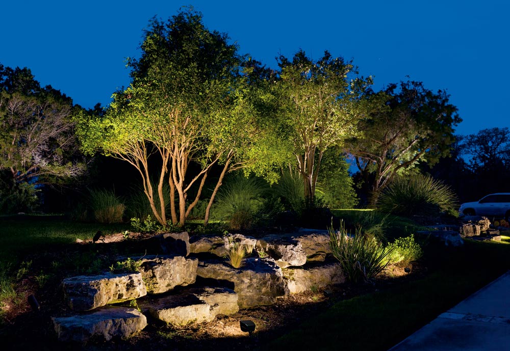 natural rock wall and trees lite up by uplighting