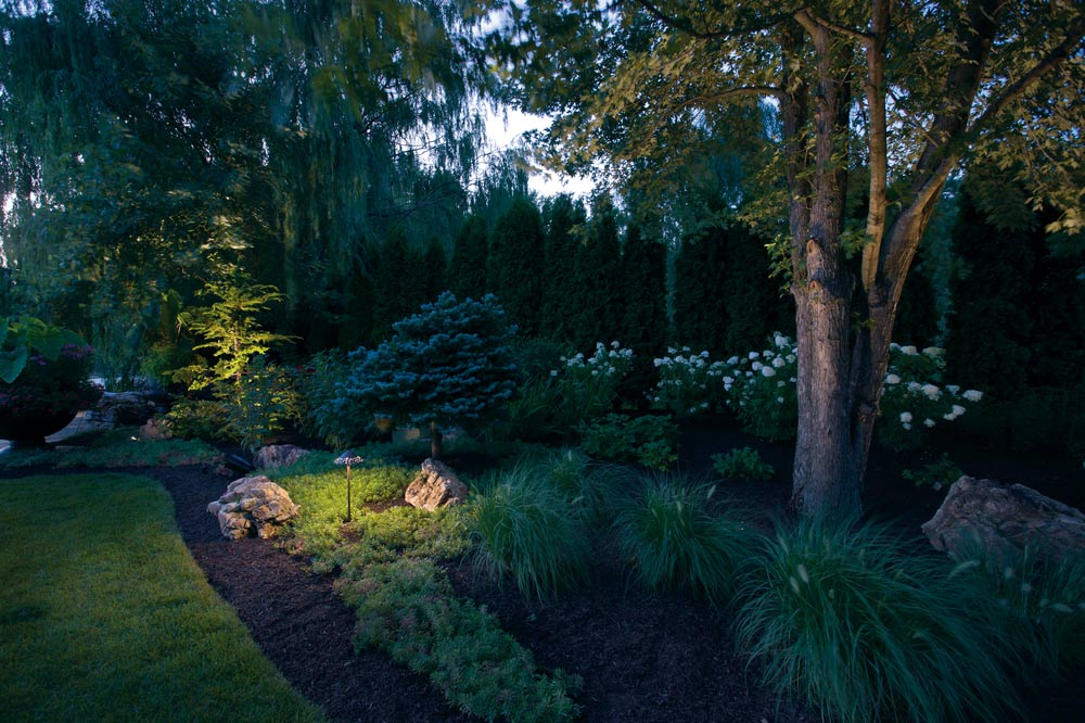 landscaping light up by various light types