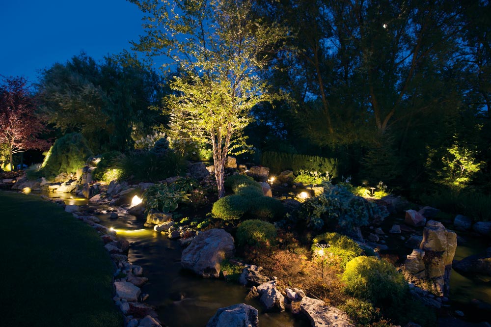 natural rock wall and trees lite up by uplighting