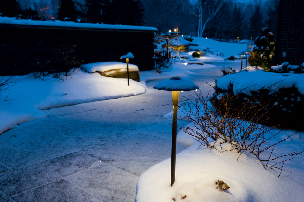 Winter pathway lite by lights